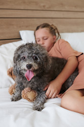 Similar image 21575487