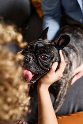 Similar image 21569637