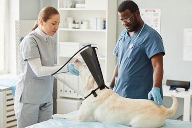 Similar image 21602093