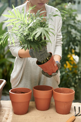 Similar image 21601361