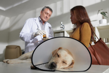 Similar image 21574624