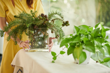 Similar image 21600446