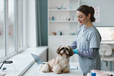 Similar image 21568683