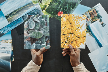 Similar image 21584040