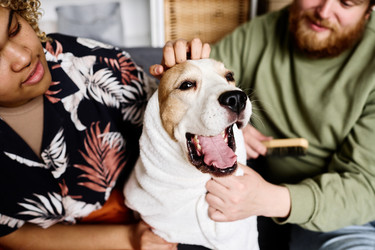 Similar image 21602964