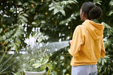 Similar image 21565691