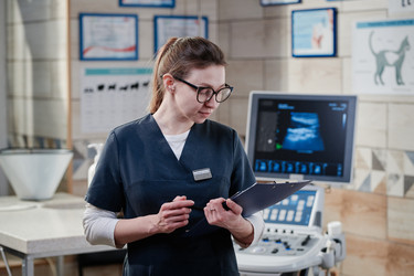 Similar image 21571065