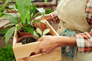 Similar image 21573226