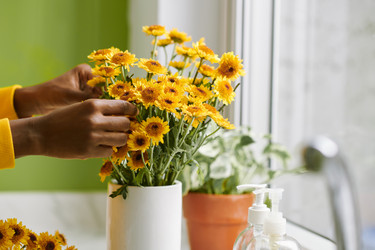 Similar image 21591484