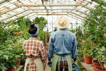 Similar image 21598648