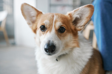 Similar image 21585991