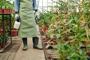 Similar image 21605290