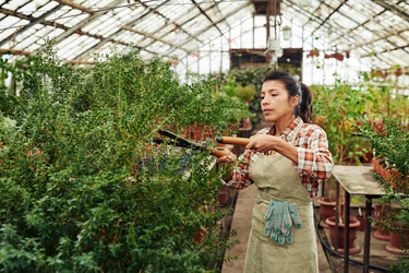 Similar image 21570830