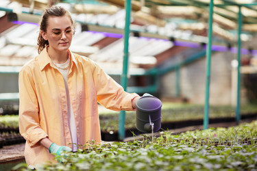 Similar image 21583609