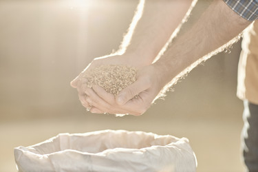 Similar image 21567430