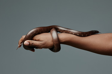 Similar image 21581132