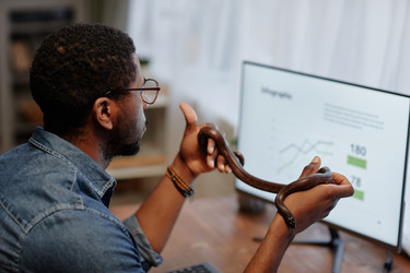 Similar image 21592827