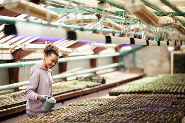 Similar image 21573138