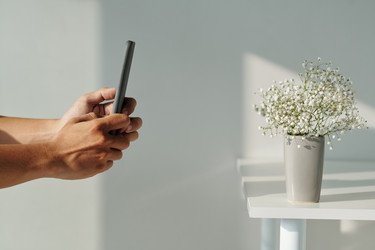 Similar image 21598667