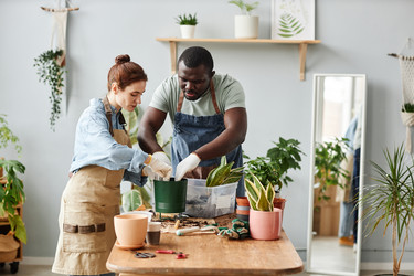 Similar image 21568397