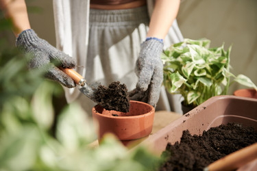 Similar image 21593585