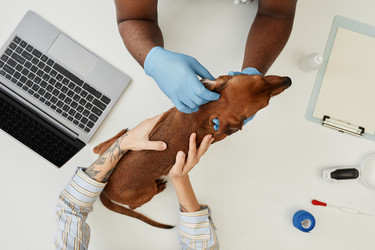 Similar image 21595829