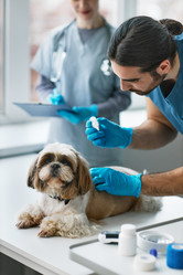 Similar image 21567841