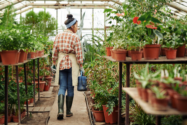 Similar image 21577914