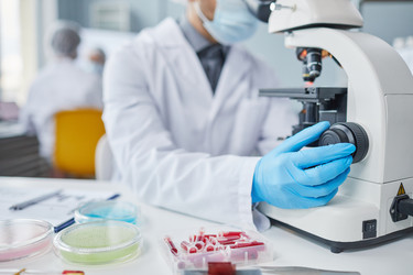 Similar image 21591708