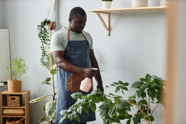 Similar image 21579641