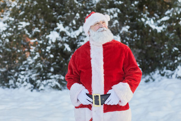 Similar image 21566833