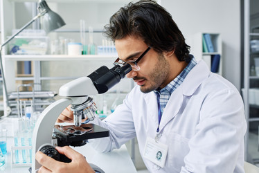 Similar image 21577753