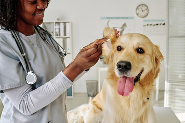 Similar image 21598066