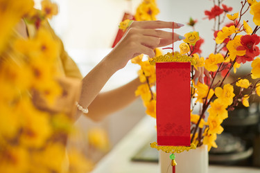 Similar image 21603645