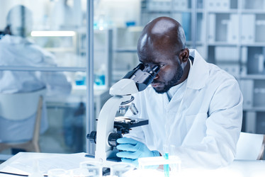 Similar image 21578584