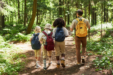 Similar image 21573719