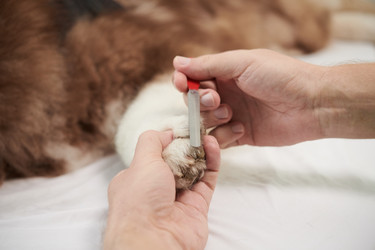 Similar image 21569327