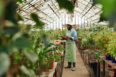 Similar image 21603187