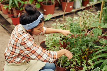 Similar image 21603665