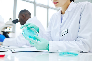 Similar image 21595853