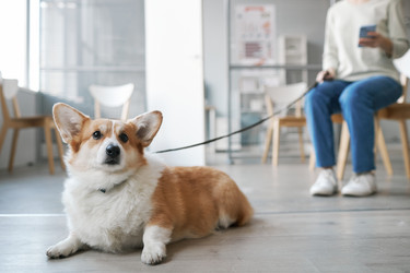 Similar image 21579056