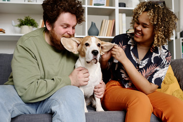 Similar image 21567519