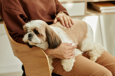 Similar image 21582343