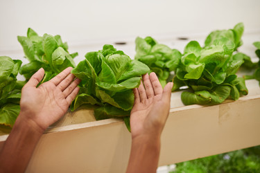 Similar image 21594385