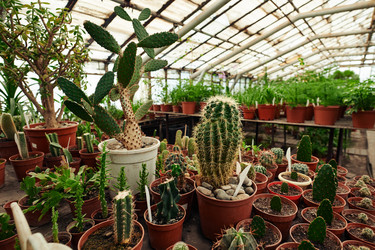 Similar image 21589534