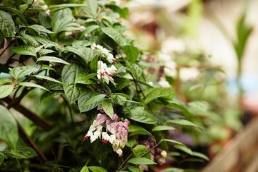 Similar image 21579314