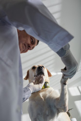 Similar image 21591022