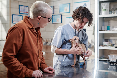 Similar image 21605971