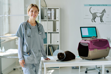 Similar image 21607064