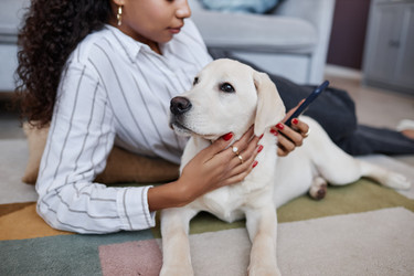 Similar image 21589111